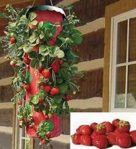 Erdbeerpflanzbehälter lulalula 1 x Erdbeer-Pflanzbeutel Gartenpflanzbeutel mit Griffen für Pflanzen 38 l Erdbeerpflanzbeutel mit seitlichen Pflanztaschen Vliesstoff 